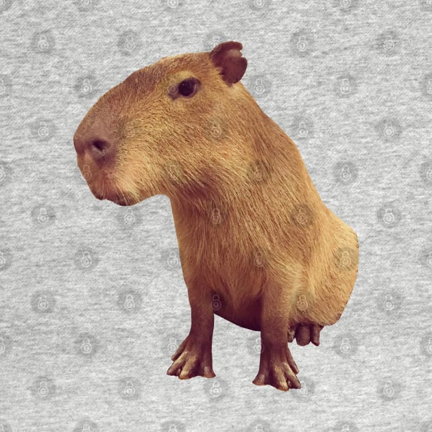 Capybara by xesed